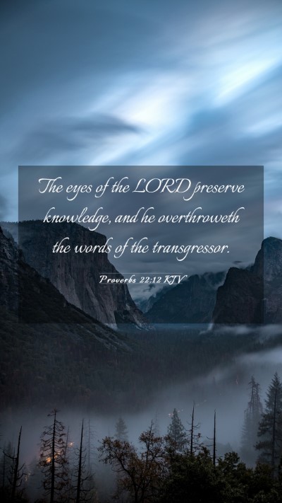 Picture 03 - Proverbs 22:12 KJV Mobile Phone Wallpaper - The eyes of the LORD preserve knowledge, and he - Mobile Bible Verse Wallpaper