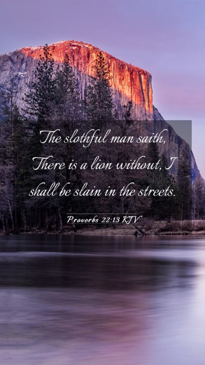 Picture 03 - Proverbs 22:13 KJV Mobile Phone Wallpaper - The slothful man saith, There is a lion without, - Mobile Bible Verse Wallpaper