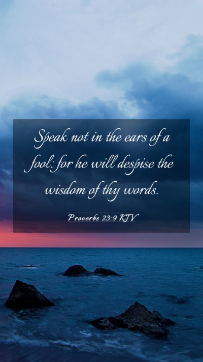Picture 03 - Proverbs 23:9 KJV Mobile Phone Wallpaper - Speak not in the ears of a fool: for he will - Mobile Bible Verse Wallpaper