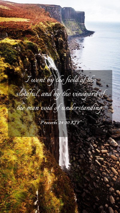 Picture 03 - Proverbs 24:30 KJV Mobile Phone Wallpaper - I went by the field of the slothful, and by the - Mobile Bible Verse Wallpaper