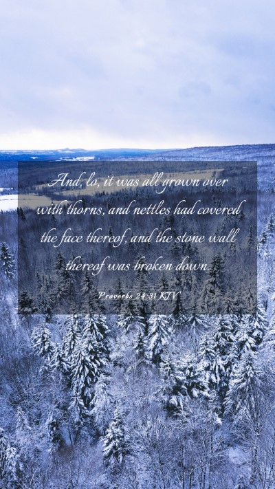 Picture 03 - Proverbs 24:31 KJV Mobile Phone Wallpaper - And, lo, it was all grown over with thorns, and - Mobile Bible Verse Wallpaper