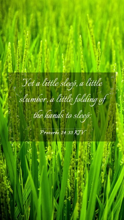 Picture 03 - Proverbs 24:33 KJV Mobile Phone Wallpaper - Yet a little sleep, a little slumber, a little - Mobile Bible Verse Wallpaper