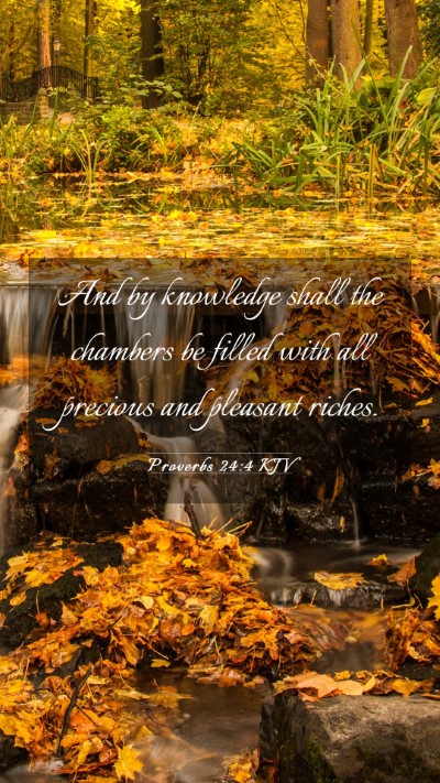 Picture 03 - Proverbs 24:4 KJV Mobile Phone Wallpaper - And by knowledge shall the chambers be filled - Mobile Bible Verse Wallpaper