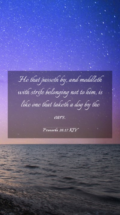 Picture 03 - Proverbs 26:17 KJV Mobile Phone Wallpaper - He that passeth by, and meddleth with strife - Mobile Bible Verse Wallpaper