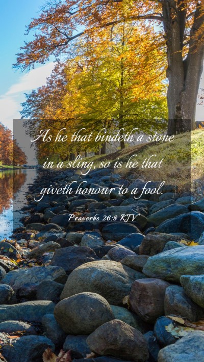 Picture 03 - Proverbs 26:8 KJV Mobile Phone Wallpaper - As he that bindeth a stone in a sling, so is he - Mobile Bible Verse Wallpaper