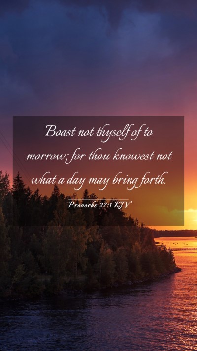 Picture 03 - Proverbs 27:1 KJV Mobile Phone Wallpaper - Boast not thyself of to morrow; for thou knowest - Mobile Bible Verse Wallpaper