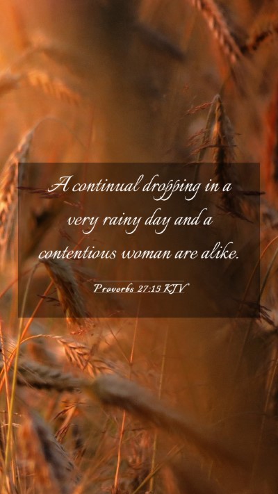 Picture 03 - Proverbs 27:15 KJV Mobile Phone Wallpaper - A continual dropping in a very rainy day and a - Mobile Bible Verse Wallpaper
