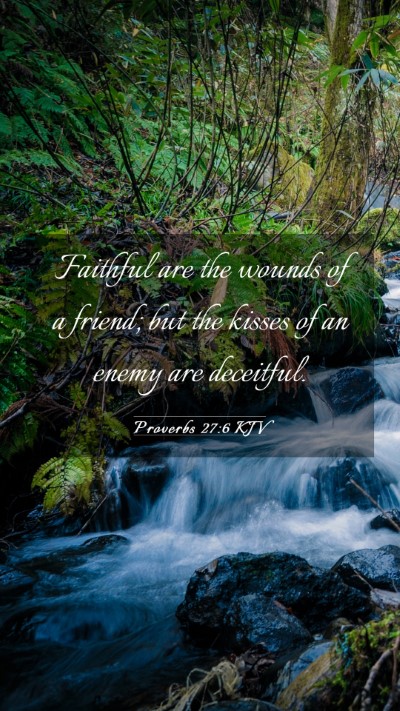 Picture 03 - Proverbs 27:6 KJV Mobile Phone Wallpaper - Faithful are the wounds of a friend; but the - Mobile Bible Verse Wallpaper
