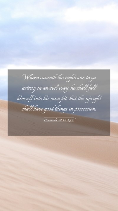 Picture 03 - Proverbs 28:10 KJV Mobile Phone Wallpaper - Whoso causeth the righteous to go astray in an - Mobile Bible Verse Wallpaper