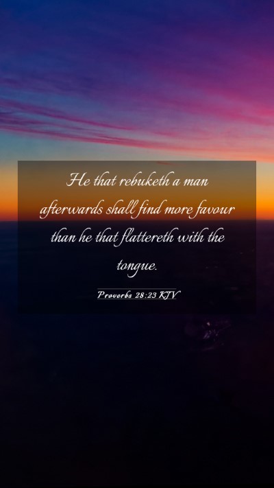 Picture 03 - Proverbs 28:23 KJV Mobile Phone Wallpaper - He that rebuketh a man afterwards shall find more - Mobile Bible Verse Wallpaper