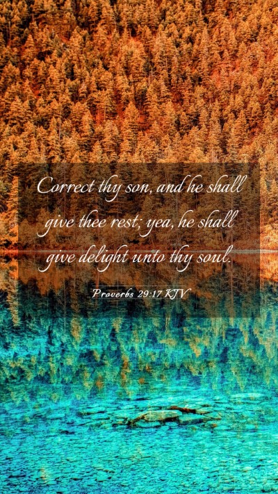 Picture 03 - Proverbs 29:17 KJV Mobile Phone Wallpaper - Correct thy son, and he shall give thee rest; - Mobile Bible Verse Wallpaper