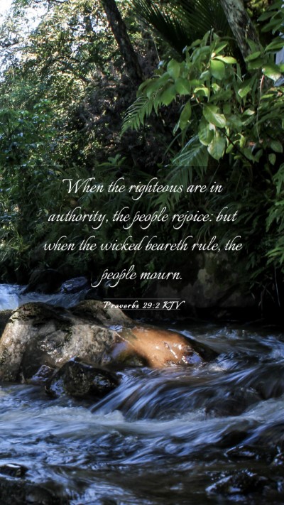 Picture 03 - Proverbs 29:2 KJV Mobile Phone Wallpaper - When the righteous are in authority, the people - Mobile Bible Verse Wallpaper