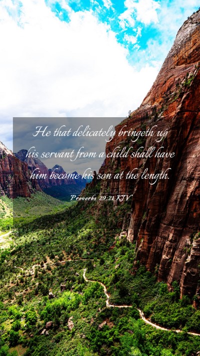 Picture 03 - Proverbs 29:21 KJV Mobile Phone Wallpaper - He that delicately bringeth up his servant from a - Mobile Bible Verse Wallpaper