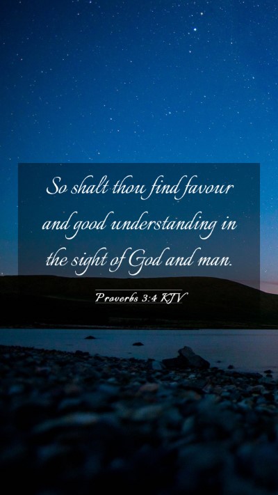 Picture 03 - Proverbs 3:4 KJV Mobile Phone Wallpaper - So shalt thou find favour and good understanding - Mobile Bible Verse Wallpaper