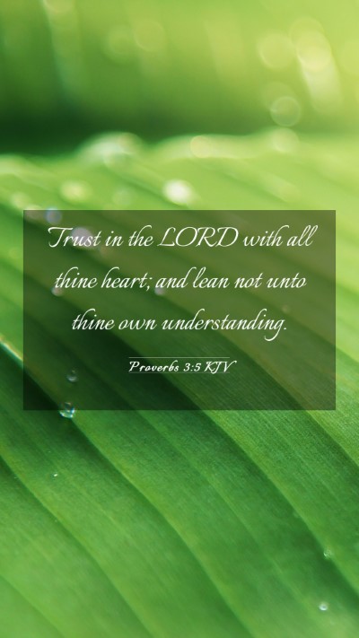 Picture 03 - Proverbs 3:5 KJV Mobile Phone Wallpaper - Trust in the LORD with all thine heart; and lean - Mobile Bible Verse Wallpaper