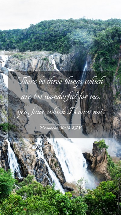 Picture 03 - Proverbs 30:18 KJV Mobile Phone Wallpaper - There be three things which are too wonderful for - Mobile Bible Verse Wallpaper