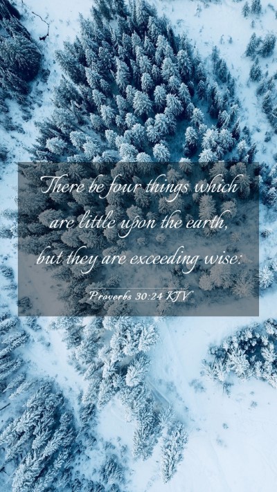 Picture 03 - Proverbs 30:24 KJV Mobile Phone Wallpaper - There be four things which are little upon the - Mobile Bible Verse Wallpaper