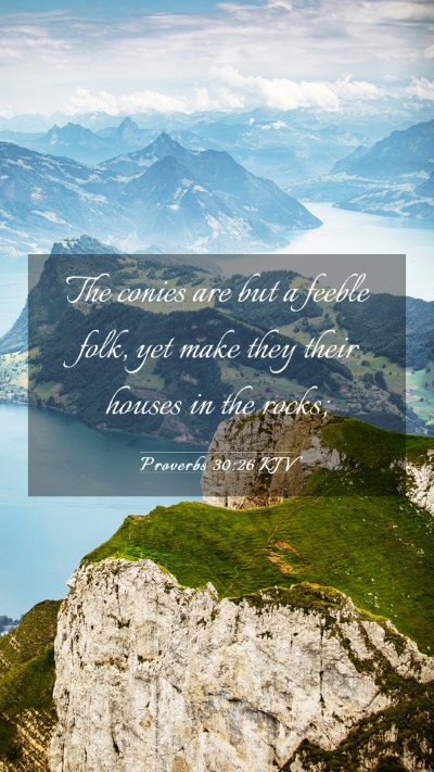 Picture 03 - Proverbs 30:26 KJV Mobile Phone Wallpaper - The conies are but a feeble folk, yet make they - Mobile Bible Verse Wallpaper