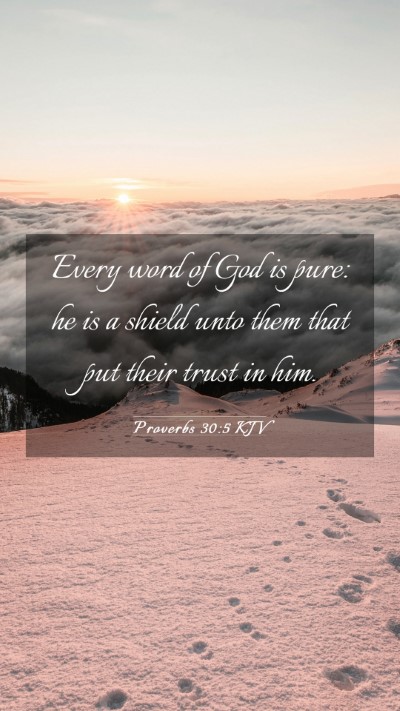 Picture 03 - Proverbs 30:5 KJV Mobile Phone Wallpaper - Every word of God is pure: he is a shield unto - Mobile Bible Verse Wallpaper