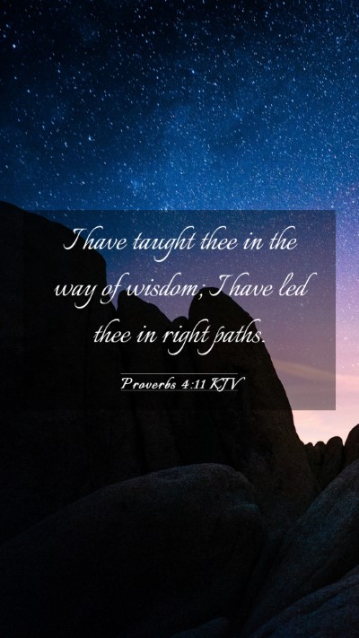Picture 03 - Proverbs 4:11 KJV Mobile Phone Wallpaper - I have taught thee in the way of wisdom; I have - Mobile Bible Verse Wallpaper
