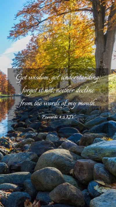 Picture 03 - Proverbs 4:5 KJV Mobile Phone Wallpaper - Get wisdom, get understanding: forget it not; - Mobile Bible Verse Wallpaper