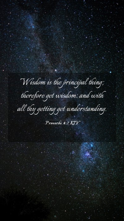 Picture 03 - Proverbs 4:7 KJV Mobile Phone Wallpaper - Wisdom is the principal thing; therefore get - Mobile Bible Verse Wallpaper