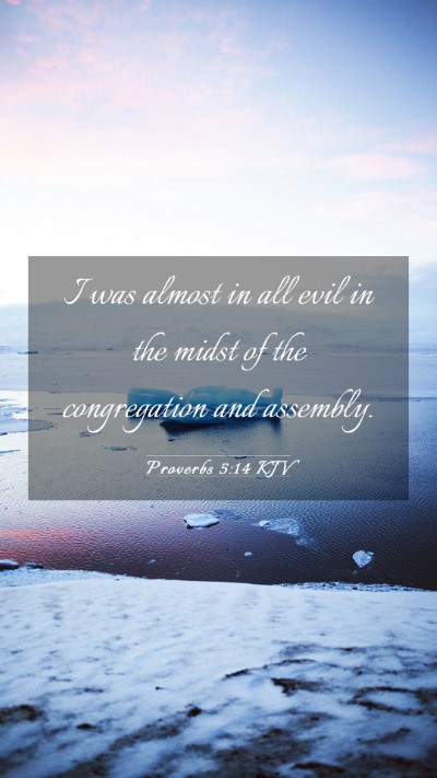Picture 03 - Proverbs 5:14 KJV Mobile Phone Wallpaper - I was almost in all evil in the midst of the - Mobile Bible Verse Wallpaper