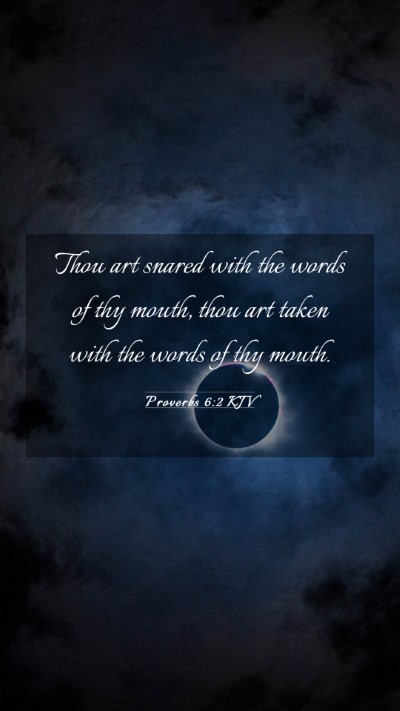 Picture 03 - Proverbs 6:2 KJV Mobile Phone Wallpaper - Thou art snared with the words of thy mouth, thou - Mobile Bible Verse Wallpaper