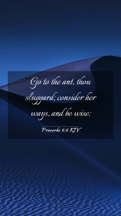 Picture 03 - Proverbs 6:6 KJV Mobile Phone Wallpaper - Go to the ant, thou sluggard; consider her ways, - Mobile Bible Verse Wallpaper