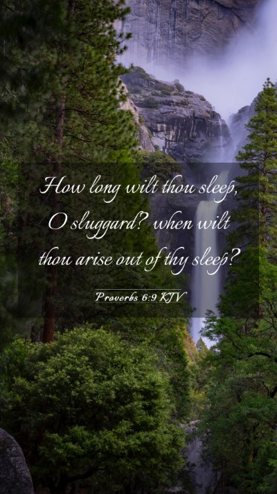 Picture 03 - Proverbs 6:9 KJV Mobile Phone Wallpaper - How long wilt thou sleep, O sluggard? when wilt - Mobile Bible Verse Wallpaper
