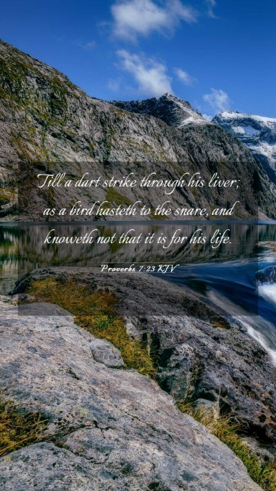 Picture 03 - Proverbs 7:23 KJV Mobile Phone Wallpaper - Till a dart strike through his liver; as a bird - Mobile Bible Verse Wallpaper