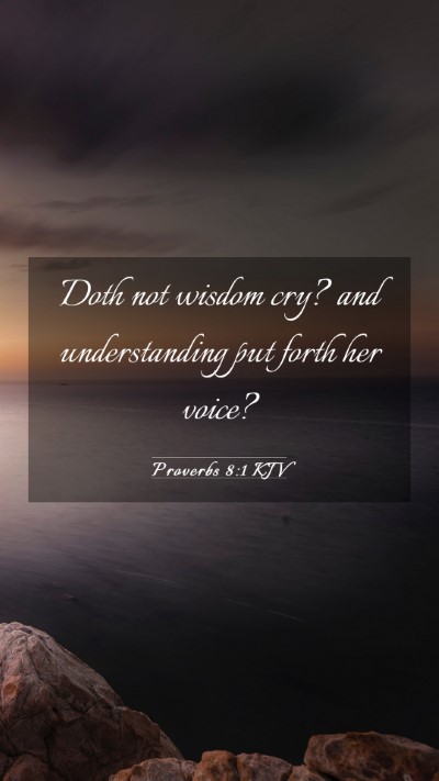 Picture 03 - Proverbs 8:1 KJV Mobile Phone Wallpaper - Doth not wisdom cry? and understanding put forth - Mobile Bible Verse Wallpaper
