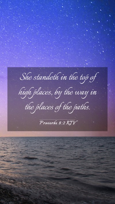 Picture 03 - Proverbs 8:2 KJV Mobile Phone Wallpaper - She standeth in the top of high places, by the - Mobile Bible Verse Wallpaper