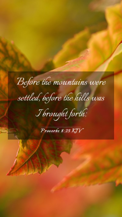 Picture 03 - Proverbs 8:25 KJV Mobile Phone Wallpaper - Before the mountains were settled, before the - Mobile Bible Verse Wallpaper