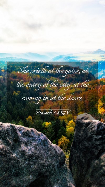 Picture 03 - Proverbs 8:3 KJV Mobile Phone Wallpaper - She crieth at the gates, at the entry of the - Mobile Bible Verse Wallpaper