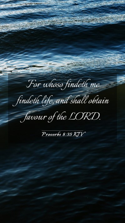 Picture 03 - Proverbs 8:35 KJV Mobile Phone Wallpaper - For whoso findeth me findeth life, and shall - Mobile Bible Verse Wallpaper