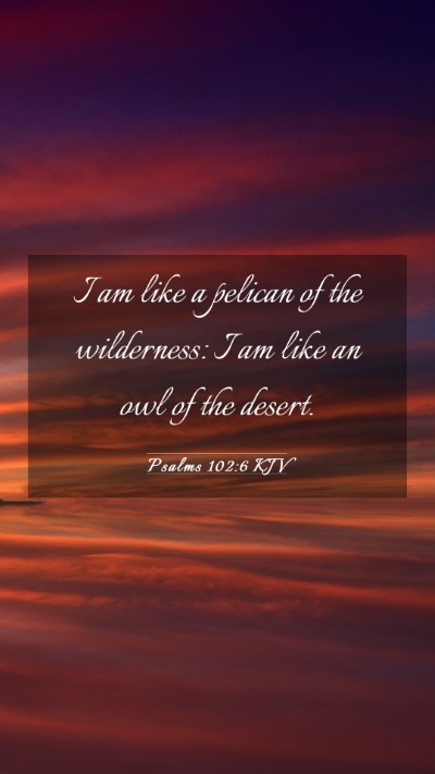 Picture 03 - Psalms 102:6 KJV Mobile Phone Wallpaper - I am like a pelican of the wilderness: I am like - Mobile Bible Verse Wallpaper