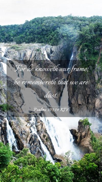 Picture 03 - Psalms 103:14 KJV Mobile Phone Wallpaper - For he knoweth our frame; he remembereth that we - Mobile Bible Verse Wallpaper