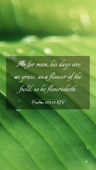Picture 03 - Psalms 103:15 KJV Mobile Phone Wallpaper - As for man, his days are as grass: as a flower of - Mobile Bible Verse Wallpaper