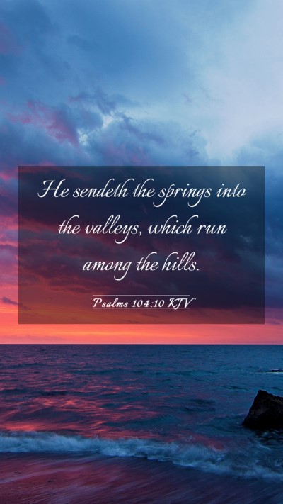 Picture 03 - Psalms 104:10 KJV Mobile Phone Wallpaper - He sendeth the springs into the valleys, which - Mobile Bible Verse Wallpaper