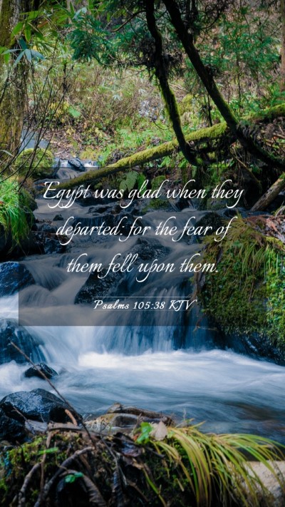 Picture 03 - Psalms 105:38 KJV Mobile Phone Wallpaper - Egypt was glad when they departed: for the fear - Mobile Bible Verse Wallpaper