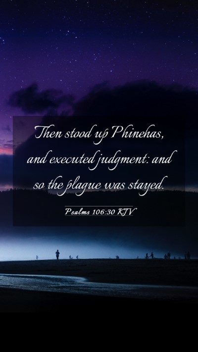 Picture 03 - Psalms 106:30 KJV Mobile Phone Wallpaper - Then stood up Phinehas, and executed judgment: - Mobile Bible Verse Wallpaper