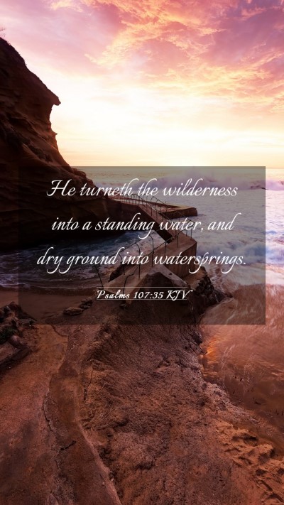 Picture 03 - Psalms 107:35 KJV Mobile Phone Wallpaper - He turneth the wilderness into a standing water, - Mobile Bible Verse Wallpaper