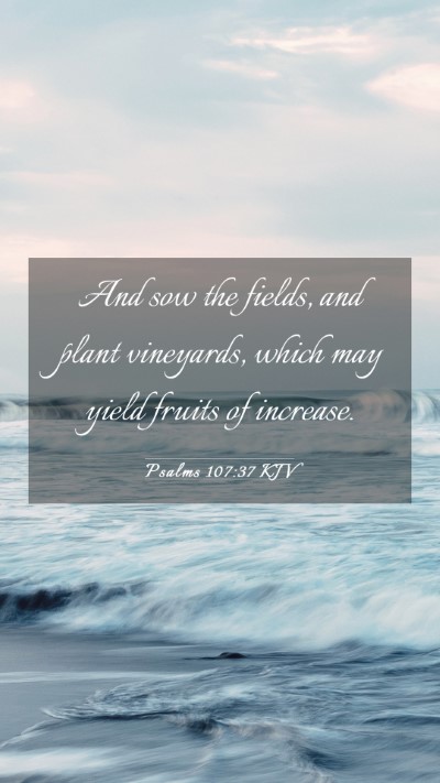 Picture 03 - Psalms 107:37 KJV Mobile Phone Wallpaper - And sow the fields, and plant vineyards, which - Mobile Bible Verse Wallpaper