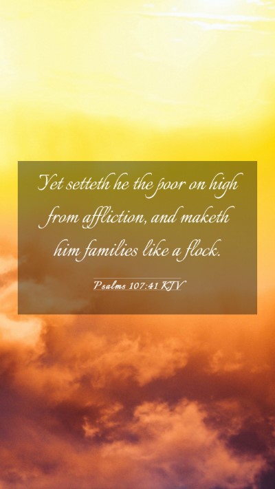 Picture 03 - Psalms 107:41 KJV Mobile Phone Wallpaper - Yet setteth he the poor on high from affliction, - Mobile Bible Verse Wallpaper