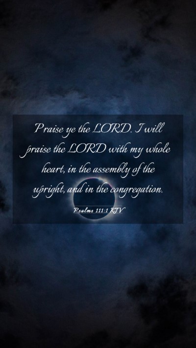 Picture 03 - Psalms 111:1 KJV Mobile Phone Wallpaper - Praise ye the LORD. I will praise the LORD with - Mobile Bible Verse Wallpaper