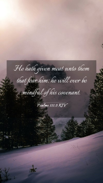 Picture 03 - Psalms 111:5 KJV Mobile Phone Wallpaper - He hath given meat unto them that fear him: he - Mobile Bible Verse Wallpaper