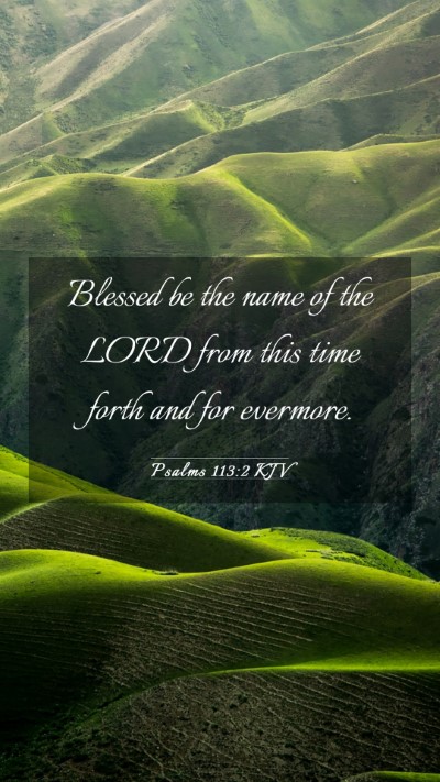 Picture 03 - Psalms 113:2 KJV Mobile Phone Wallpaper - Blessed be the name of the LORD from this time - Mobile Bible Verse Wallpaper