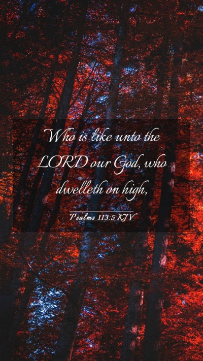 Picture 03 - Psalms 113:5 KJV Mobile Phone Wallpaper - Who is like unto the LORD our God, who dwelleth - Mobile Bible Verse Wallpaper