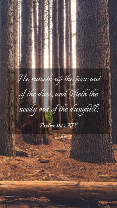 Picture 03 - Psalms 113:7 KJV Mobile Phone Wallpaper - He raiseth up the poor out of the dust, and - Mobile Bible Verse Wallpaper